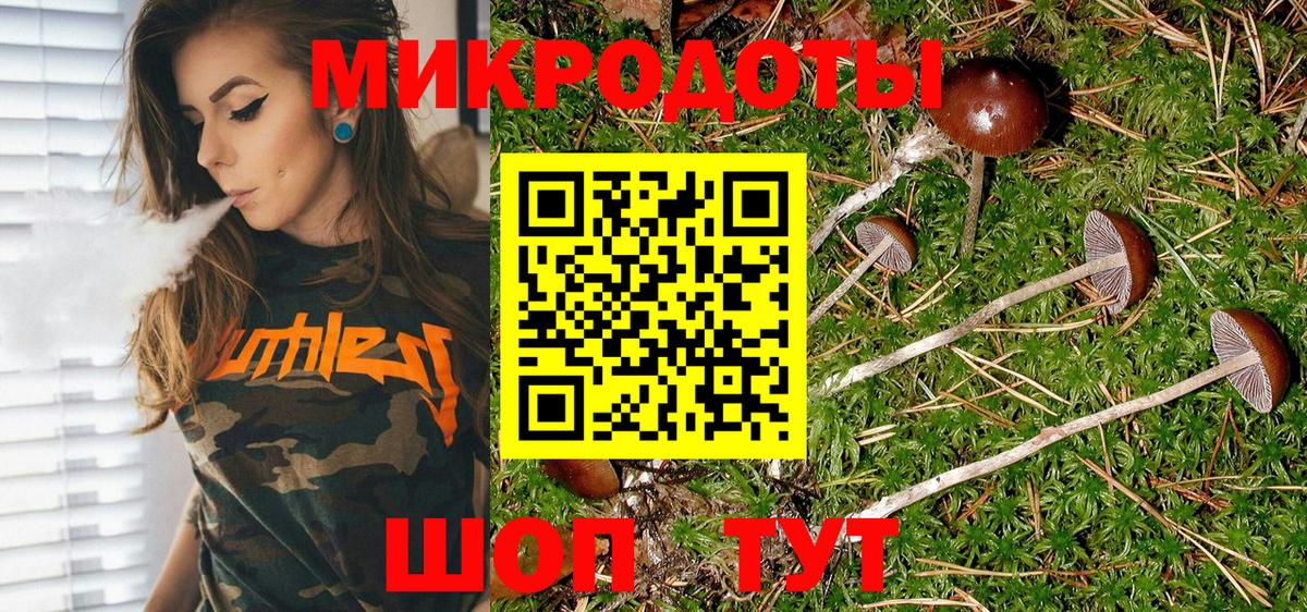 Галлюциногенные грибы Psilocybine cubensis  Вход с VPN  Ефремов 