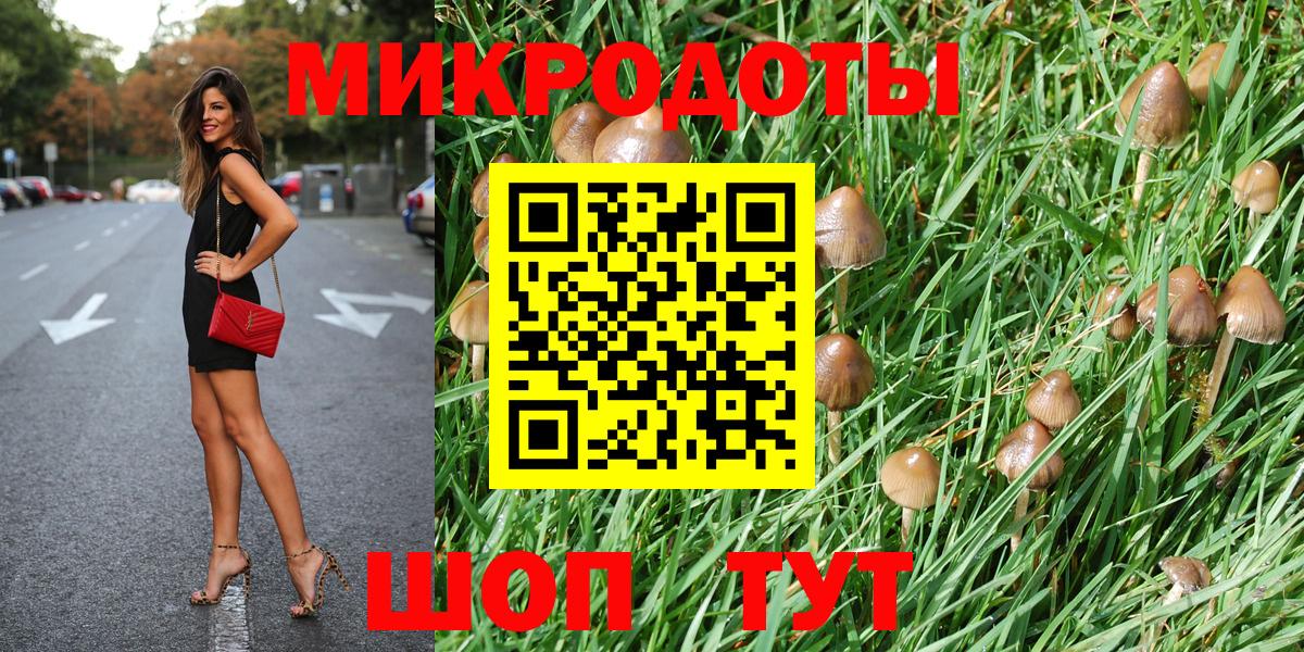 Галлюциногенные грибы прущие грибы Ефремов